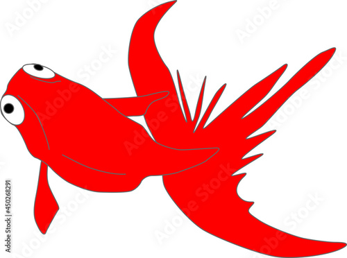 上からみる泳ぐ金魚