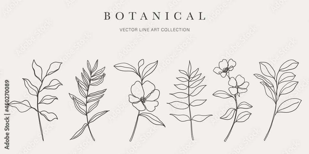 Botanical arts. Hand drawn continuous line drawing of abstract flower, floral, ginkgo, rose, tulip, bouquet of olives. Vector illustration. Botanical arts. Hand drawn continuous line drawing of abstract flower, floral, ginkgo, rose, tulip, bouquet of olives. Vector illustration.
