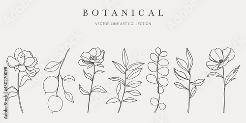 Photo Botanical arts