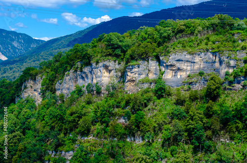 gray-brown mountain cliffs close-up in summer among green plants