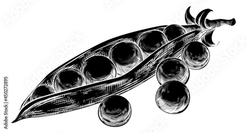 Peas Garden Green Sweet and Pod Vintage Woodcut