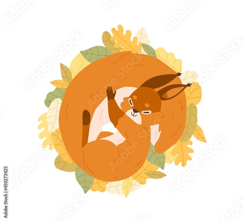Cute happy squirrel sleeping on autumn leaves. Sweet adorable relaxed animal resting curled up and covered with fluffy tail. Colored flat vector illustration isolated on white background