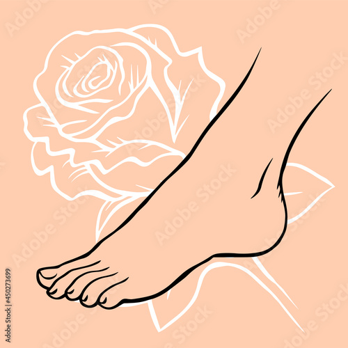 Line drawing of female legs on a pattern rose background. Pedicure, body care and beauty. Vector illustration outline