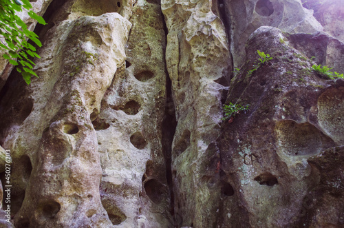 Fotografi Entrance to the limestone cave in the form of a vulva.