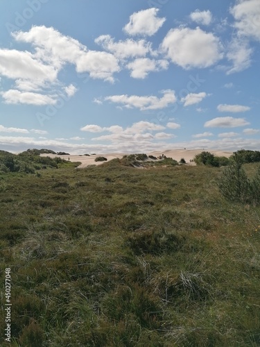 Råbjerg Mile sand dunes and desert in Northern Jutland outside Skagen, Denmark