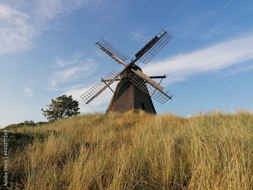 Old windmill in lush and green nature Old windmill in lush and green nature