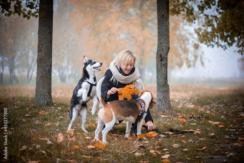 Young woman pet owner with two dogs playing in autumn leaves photo