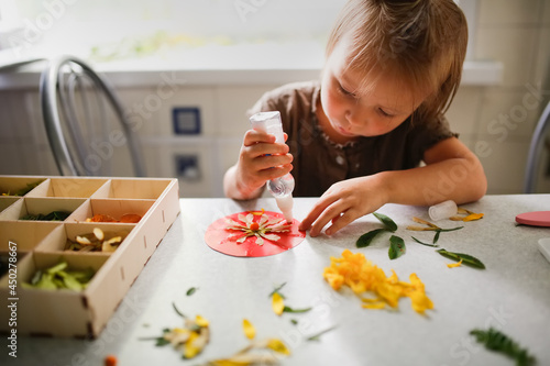 Cute child toddler glues leaves and petals at home, natural science in preschoolers, collecting natural materials and creative cognitive interest, home teaching