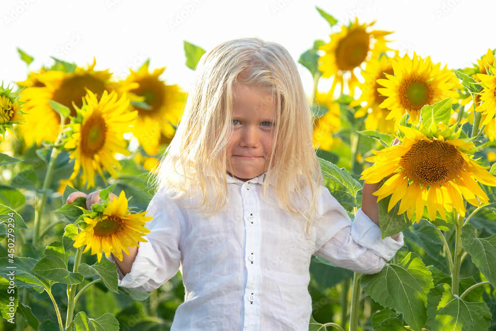 happy handsome boy with long blond hair stands in a field of blooming sunflowers happy handsome boy with long blond hair stands in a field of blooming sunflowers