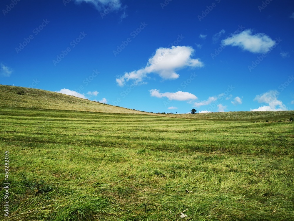 Abgeerntetes Feld im Sommer mit blauen Himmel und wenigen Wolken