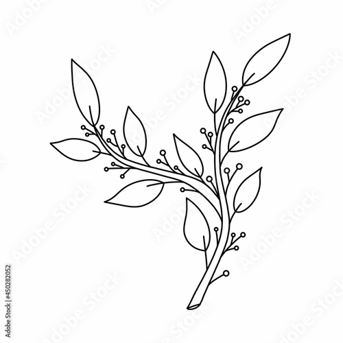 Plant line art. Twig  branch with leaves and berries black and white. Suitable for clothing prints  packaging  advertising