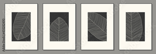 Minimalist set of botanical poster with leaf abstract collage