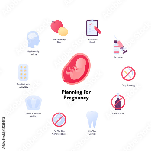 Planning for pregnancy concept. Vector flat color icon illustration set. Step to baby infographic. Fetus in womb symbol. Design element