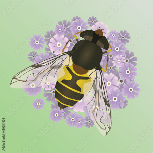 A vector illustration of a common drone fly or an eristalis tenax on a purple flower. The background is a soft green gradient.