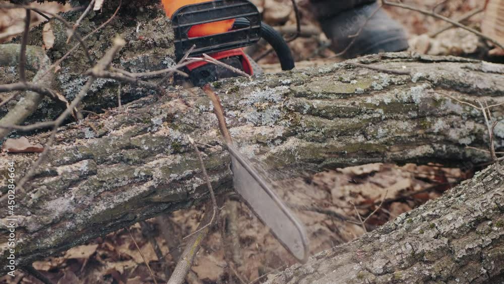 Man in uniform cuts a felled tree trunk with a chainsaw in autumn forest, closeup Man in uniform cuts a felled tree trunk with a chainsaw in autumn forest, closeup