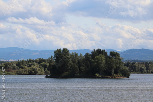Jezioro Nyskie, zatopione drzewa na wodzie