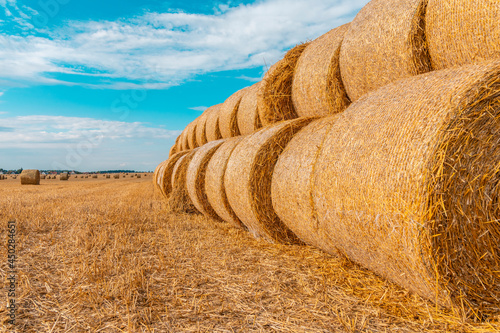 A field with straw bales after harvest on the sky background.