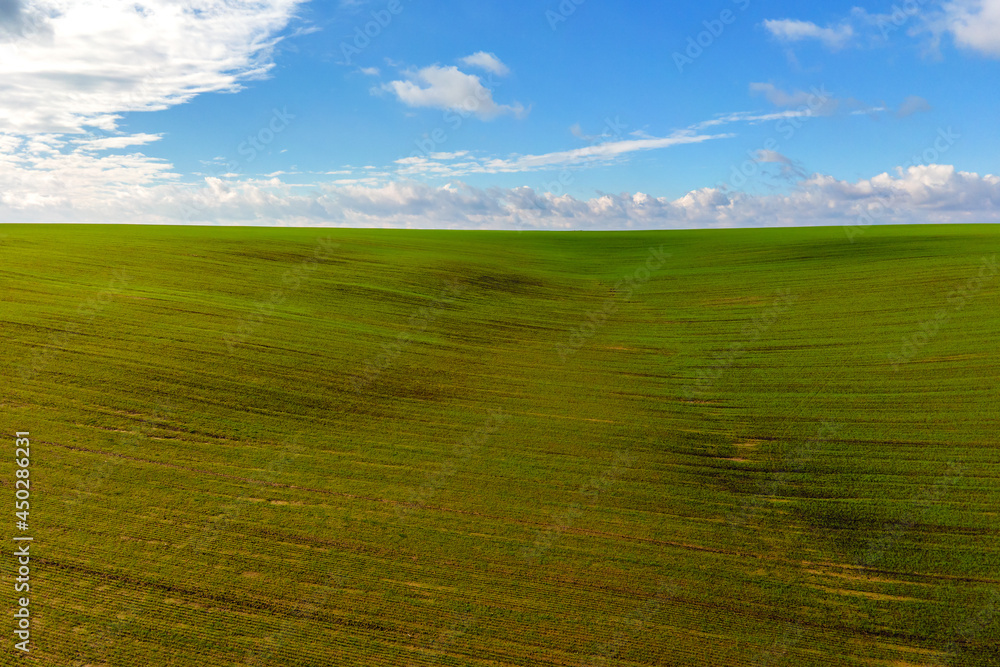 Fototapeta premium Aerial view of bright green agricultural field in early spring.