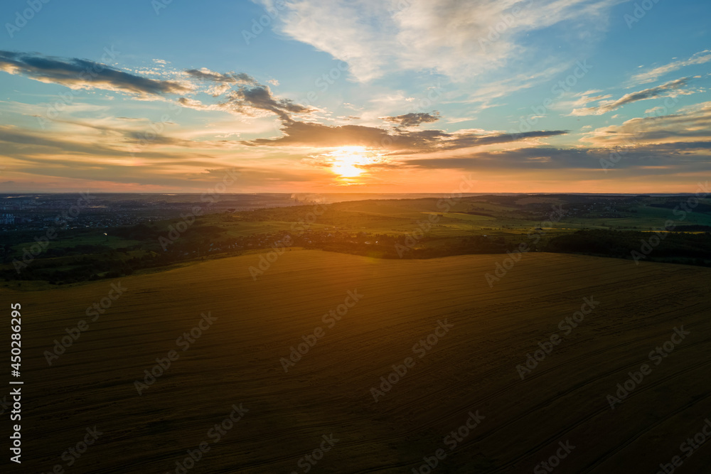 Aerial landscape view of yellow cultivated agricultural field with ripe wheat on vibrant summer evening.
