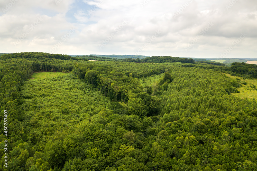 Top down aerial view of green summer forest with large area of cut down trees as result of global deforestation industry. Harmful human influence on world ecology.