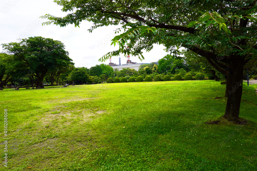 Nagoya Castle Japanese Garden Aichi Japan Art Wall painting 名古屋城 日本 壁画 日本庭園 日本芸術 Nagoya Castle Japanese Garden Aichi Japan Art Wall painting 名古屋城 日本 壁画 日本庭園 日本芸術