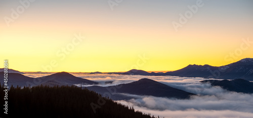 Distant dark mountain hills covered with dense pine forest surrounded with white foggy clouds at sunrise. © bilanol