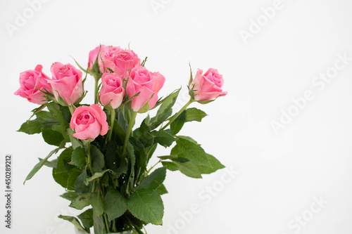 Pink bouquet of roses on a white background.