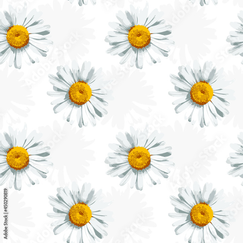 seamless floral pattern, daisies on a white background
