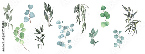 Foto set of branches of eucalyptus lilac willow with leaves on a white background