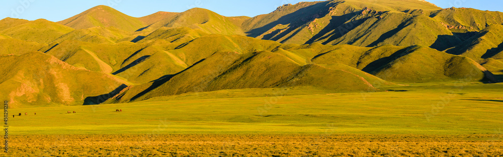Beautiful grassland and mountains in Xinjiang at dusk.