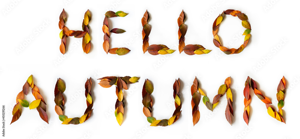 Hello Autumn - fall design font concept. Seasonal decorative beautiful type is made from multi-colored leaves. Natural autumnal alphabet. Hello Autumn - fall design font concept. Seasonal decorative beautiful type is made from multi-colored leaves. Natural autumnal alphabet.