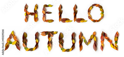 Hello Autumn - fall design font concept. Seasonal decorative beautiful type is made from multi-colored leaves. Natural autumnal alphabet.