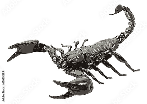 Scorpion isolated on white background, vector illustration