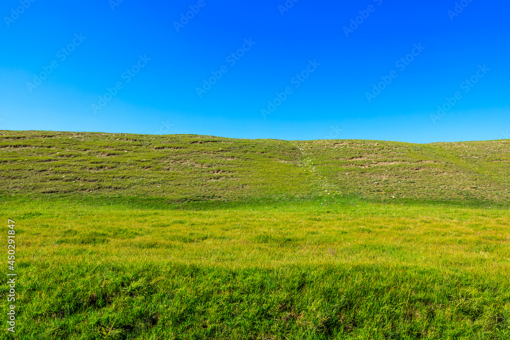 Green grassland landscape in Xinjiang.