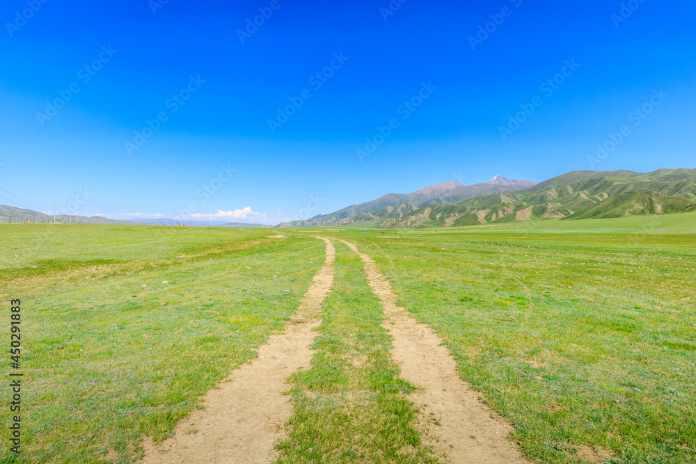 Road and green meadow with mountain natural landscape in Xinjiang. Road and green meadow with mountain natural landscape in Xinjiang.