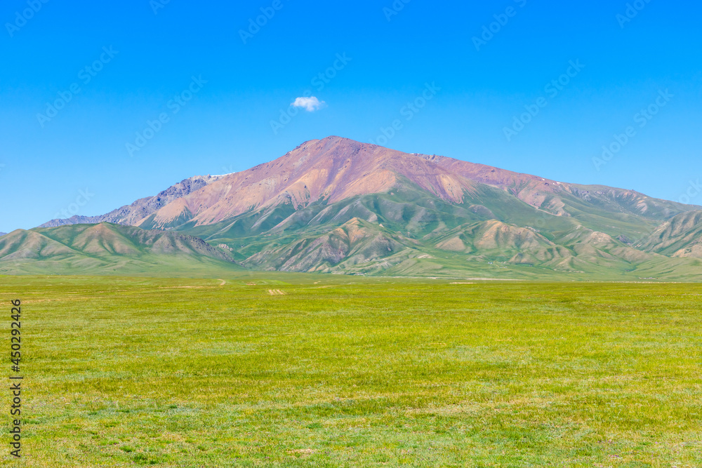 Green grassland and mountain landscape in Xinjiang.