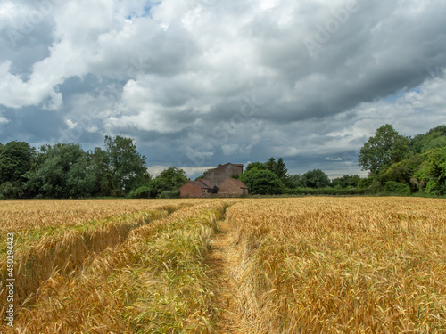 Golden field with leading lines and brick buildings © Alex