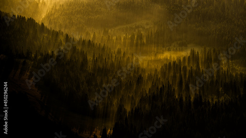 Fototapeta Naklejka Na Ścianę i Meble -  The Carpathian Mountsins. Ukraine.