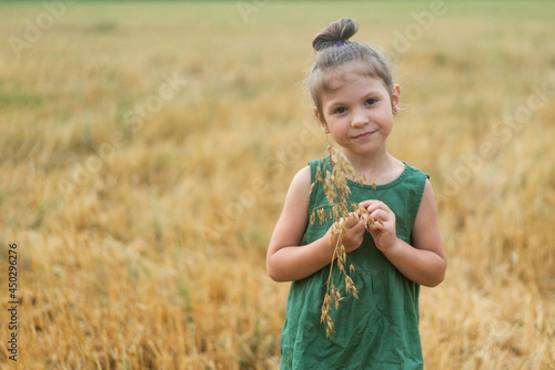 portrait of a girl in a field holding ears of corn in her hands. High quality photo