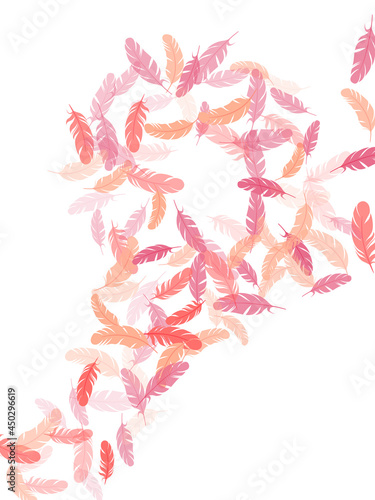 Detailed majestic feather on white design.