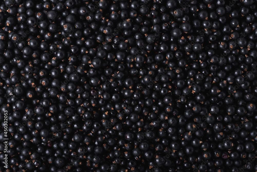 Closeup of fresh blackcurrant berries (Ribes nigrum), top view