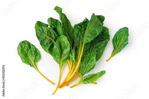 Fresh mangold salad leaves isolated over white, top view. Clipping path at 300%