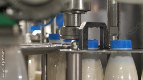 Close up Installation and capping of blue plastic lids on plastic bottles filled with dairy products on a conveyor machine.