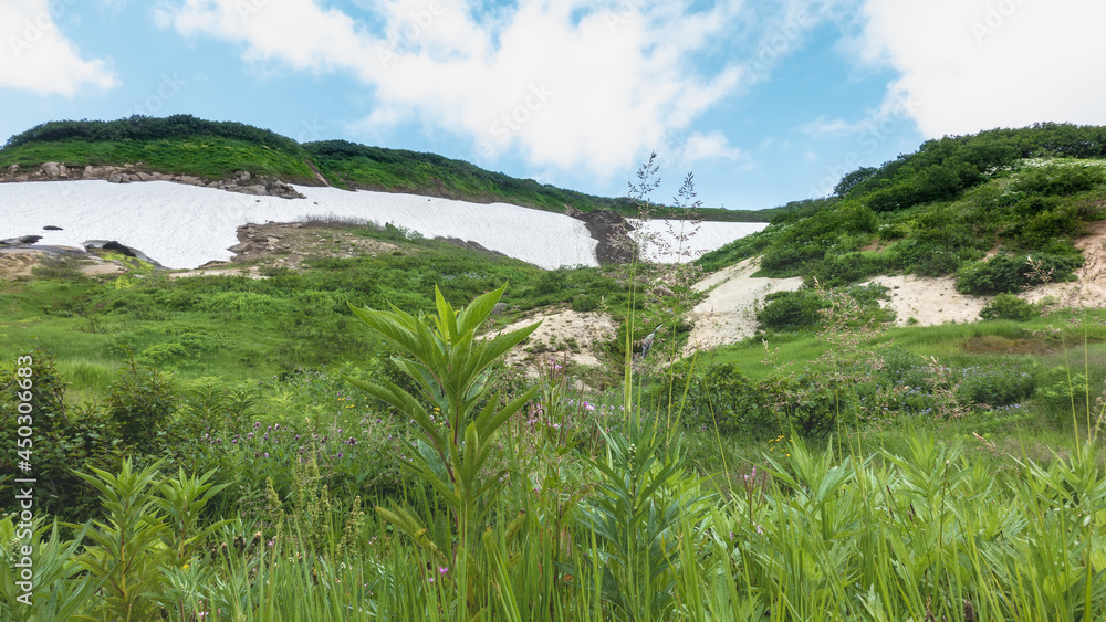 Lush grass and wildflowers grow on the hillside. Patches of melted snow are visible among the greenery. Blue sky with clouds. A sunny summer day. Kamchatka