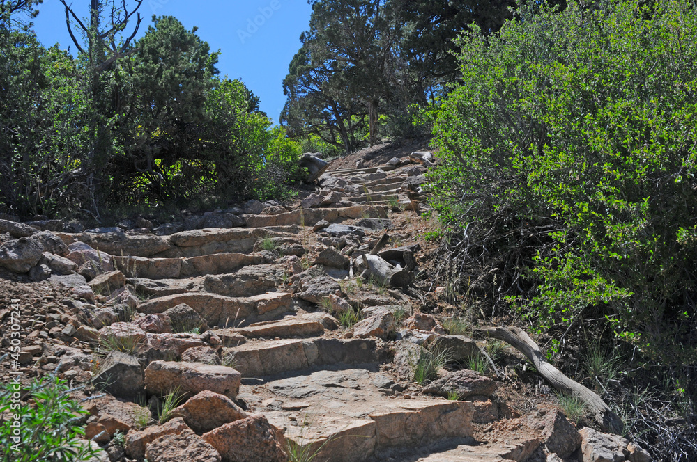 trail at the black canyon of the gunnison