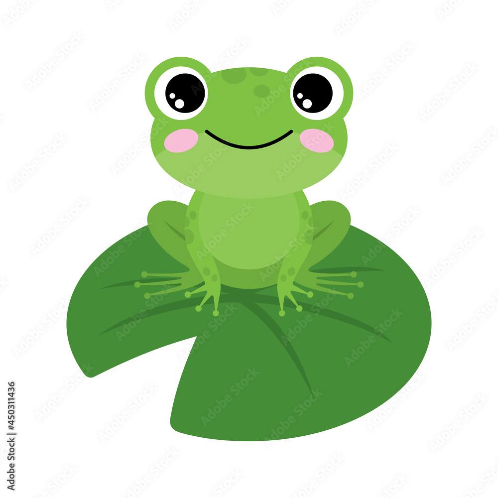 Obraz premium Green frog on a white background