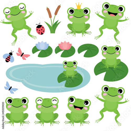 Green frogs on a white background