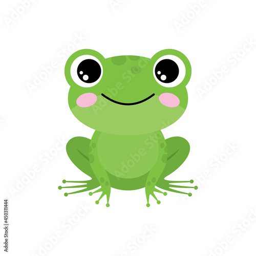 Green frog on a white background