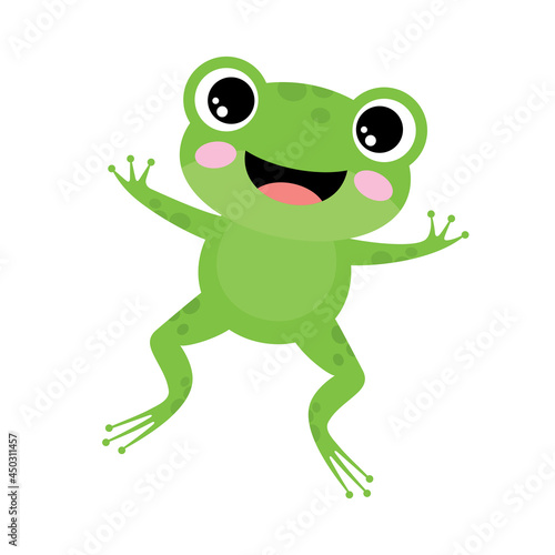 Green frog on a white background