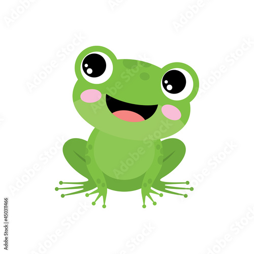 Green frog on a white background